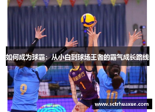 如何成为球霸：从小白到球场王者的霸气成长路线