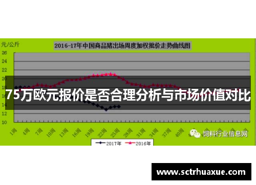 75万欧元报价是否合理分析与市场价值对比