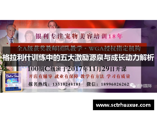 格拉利什训练中的五大激励源泉与成长动力解析